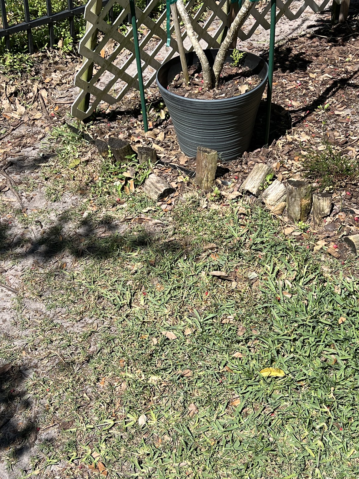 Scoop Force - Photo 2