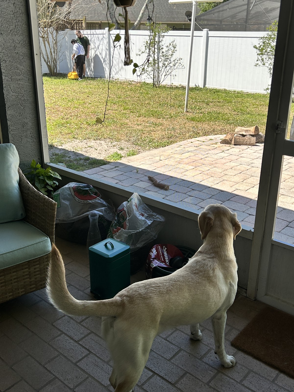 Scoop Force - Photo 4