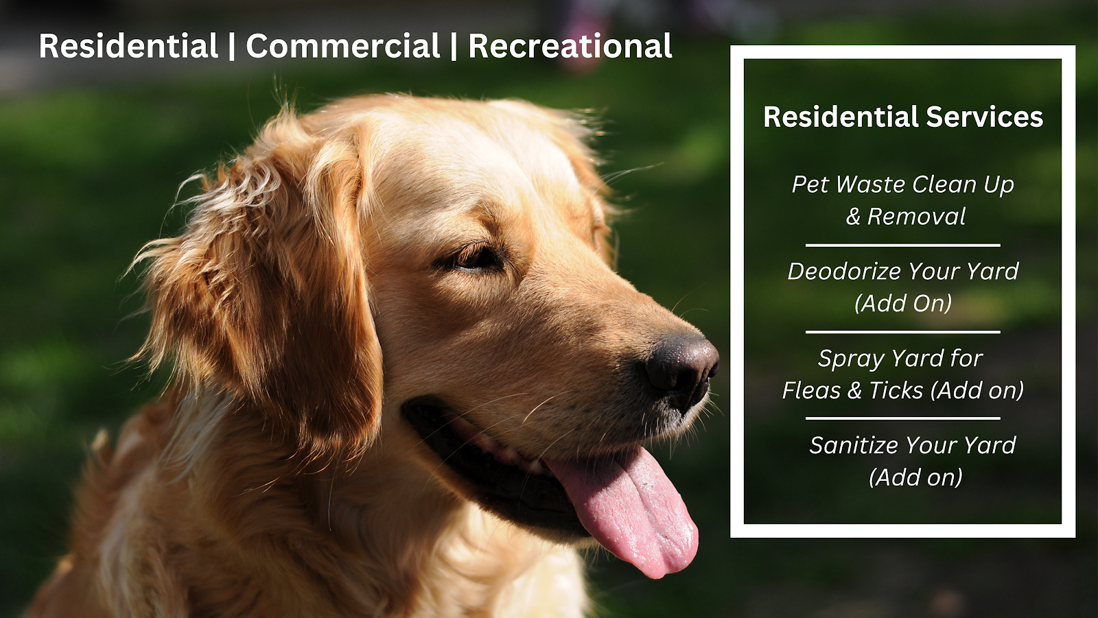 Yard Dogs LLC - Pet Waste Removal Service - Photo 3