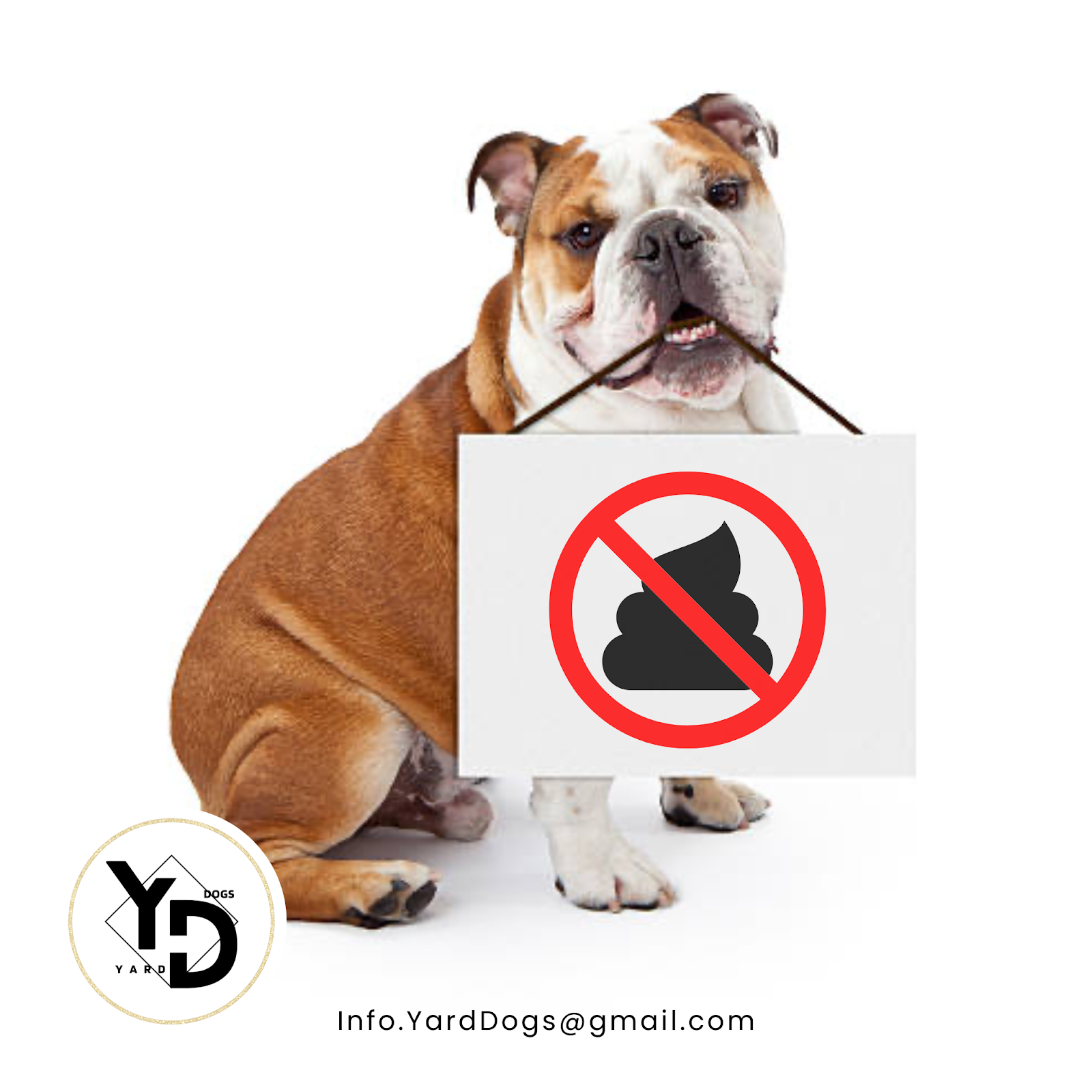 Yard Dogs LLC - Pet Waste Removal Service - Photo 4