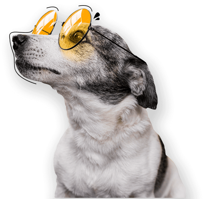 Washington Pet Waste - Photo 4