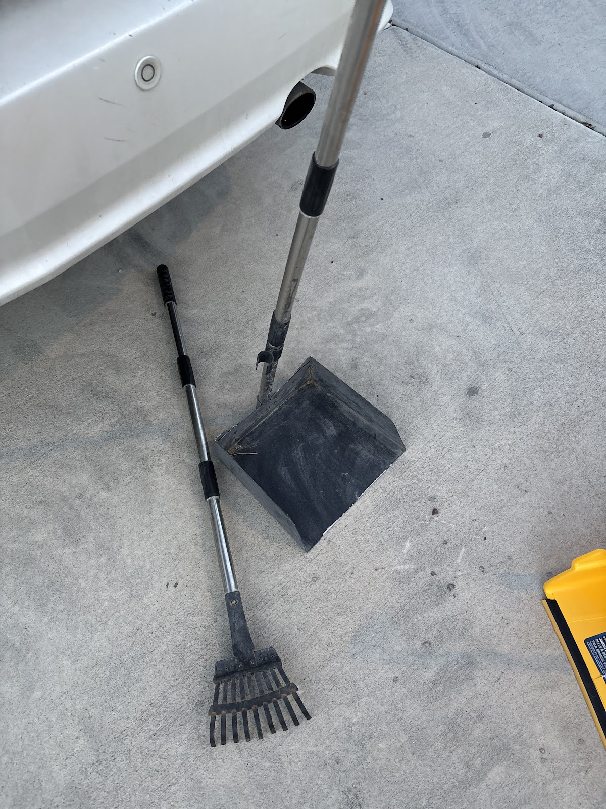 Poop Scooping Hero - Photo 2