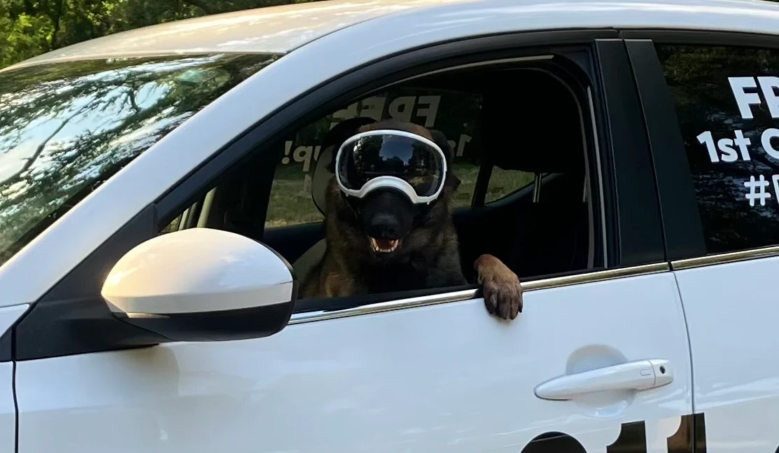 POOP 911 Green Valley Arizona - Photo 4