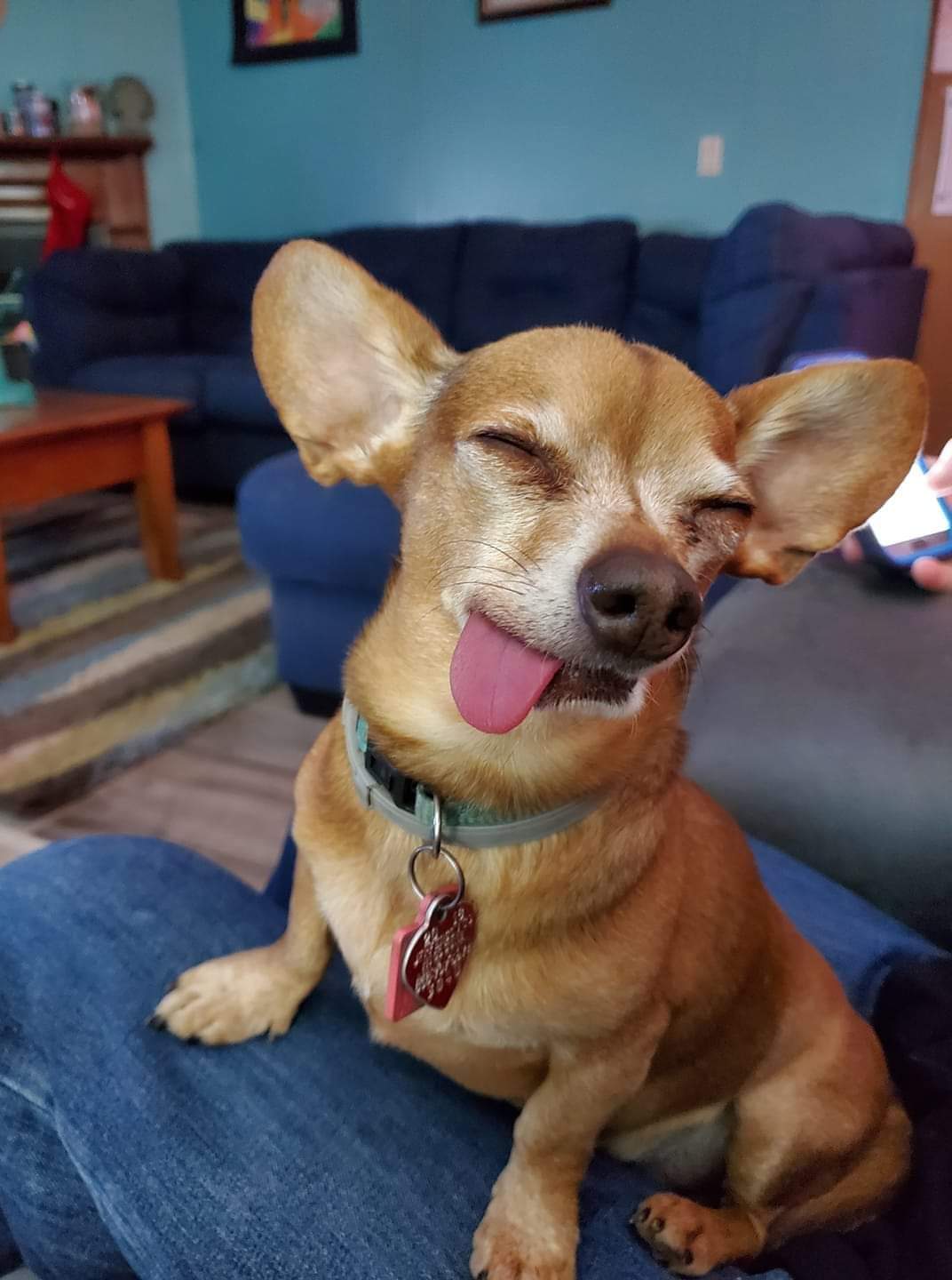 The Pootector - Photo 3