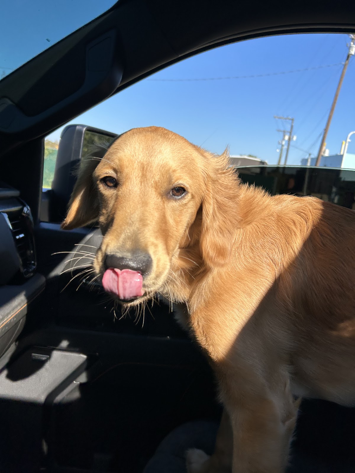 Poop Rangers - Photo 4