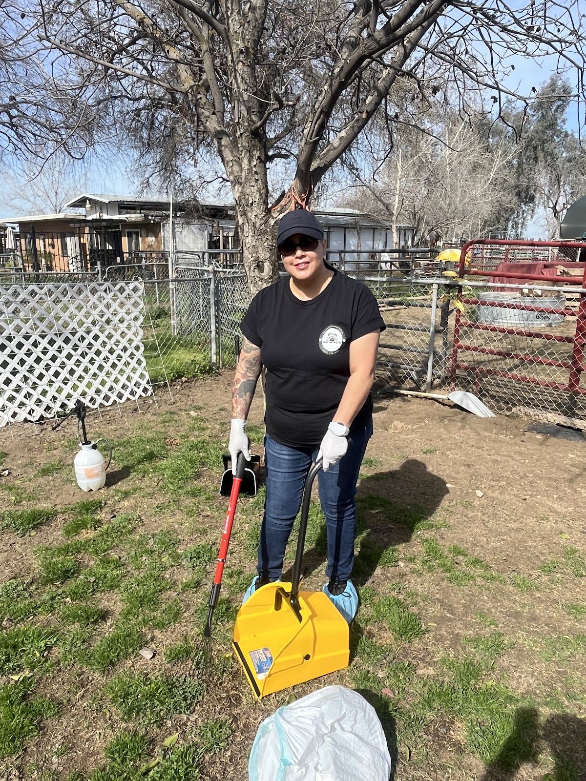 Dog on Mess - Photo 2