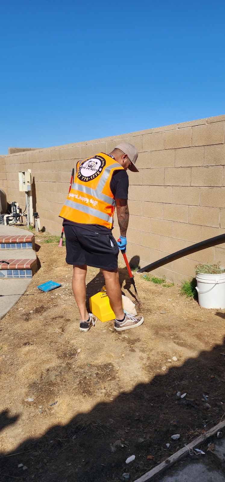 Dog on Mess - Photo 4