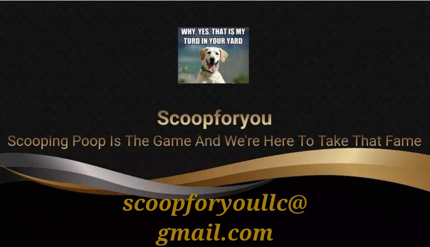 Scoopforyou