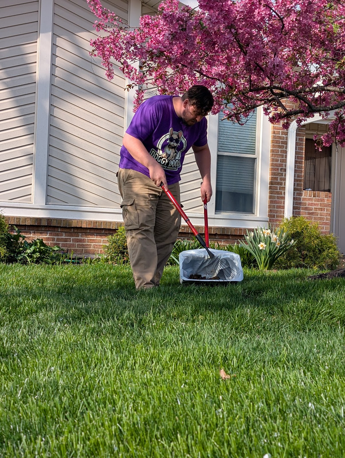 Doggy Doods - Photo 4