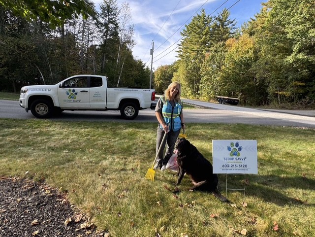 Scoop Savvy - Photo 4