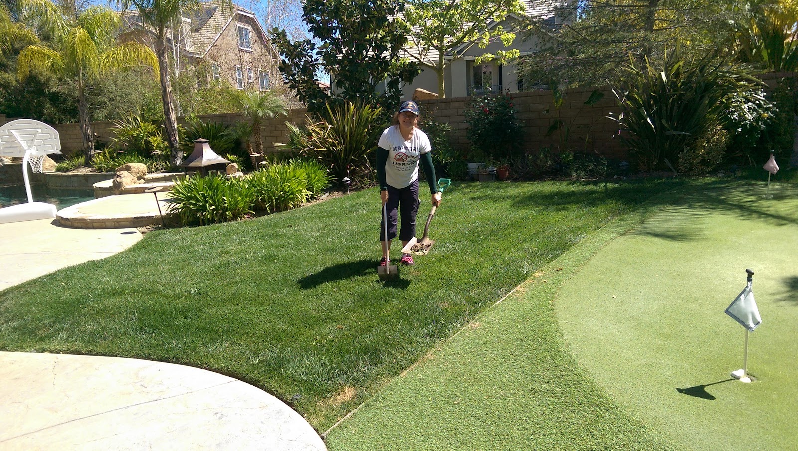 Scoop Masters Los Angeles - Photo 3