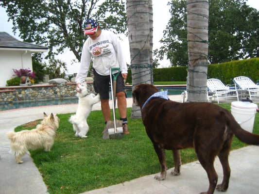 Scoop Masters Los Angeles - Photo 4