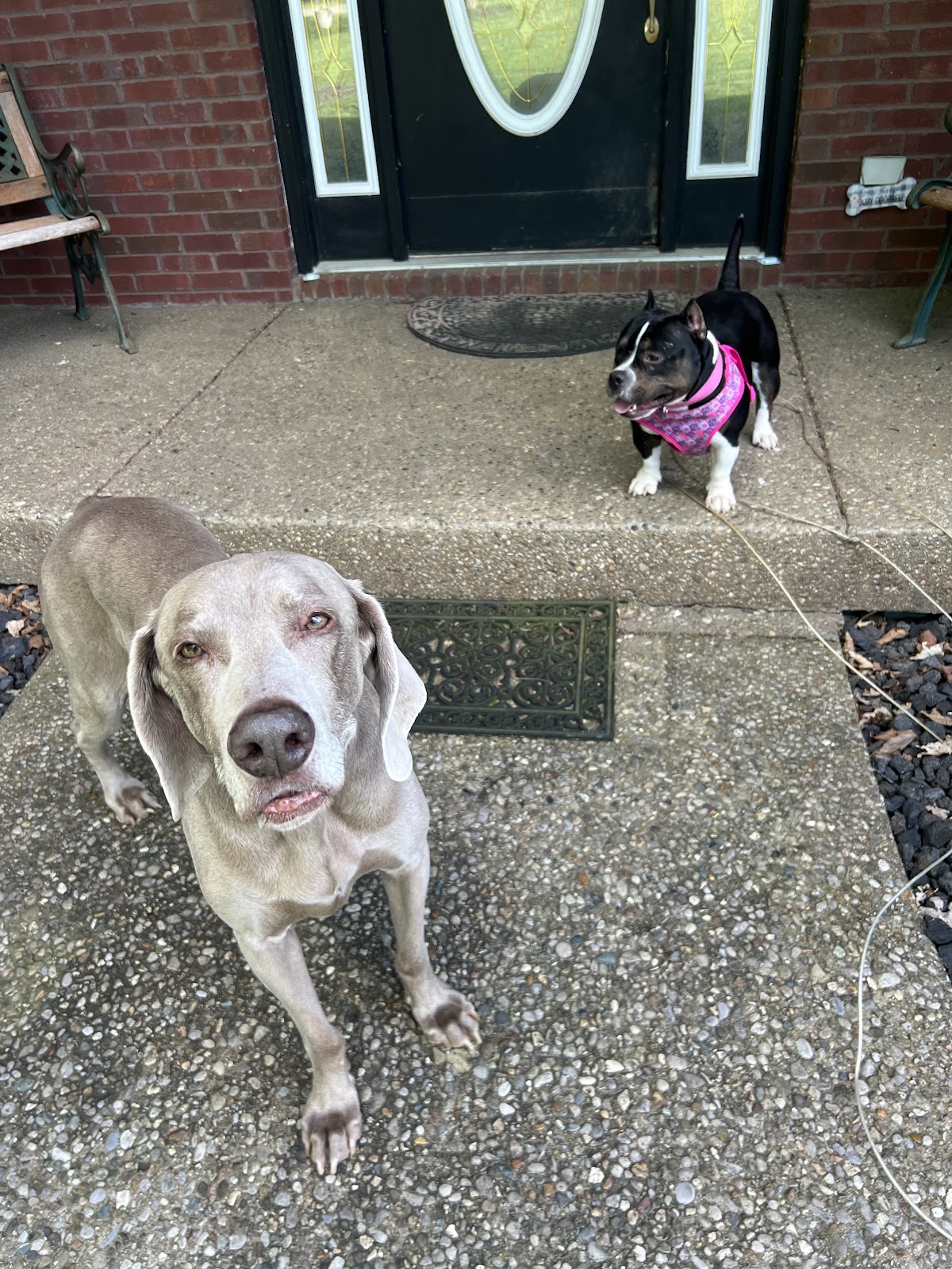 Poop Squad - Photo 2