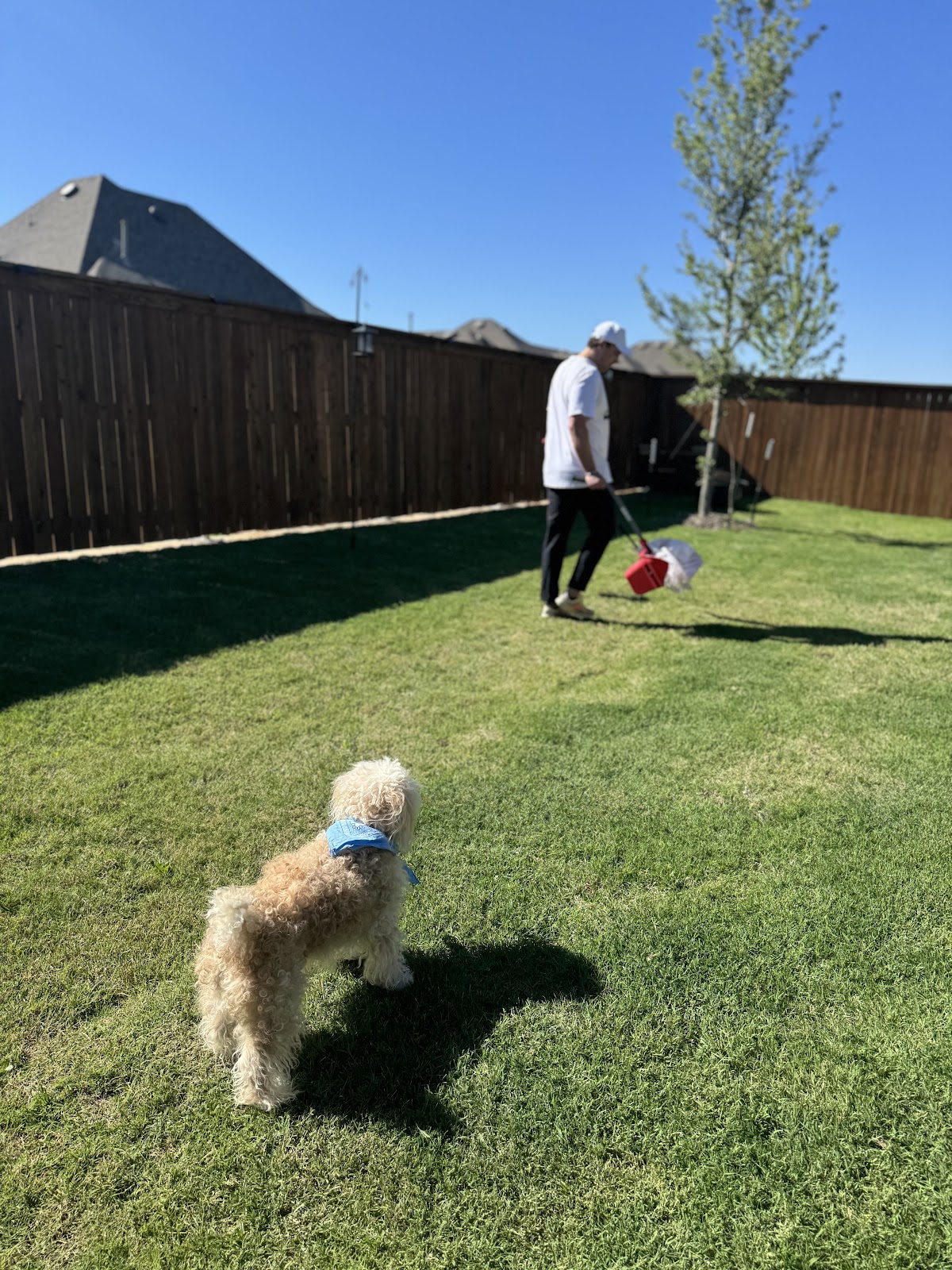 Scoop Duty - Photo 3