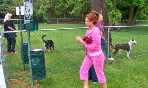 doggie doo doo disposal services