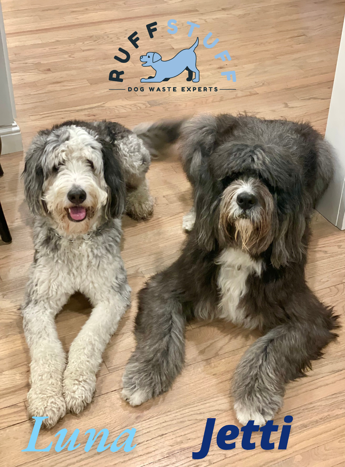 Ruff Stuff Pooper Scoopers