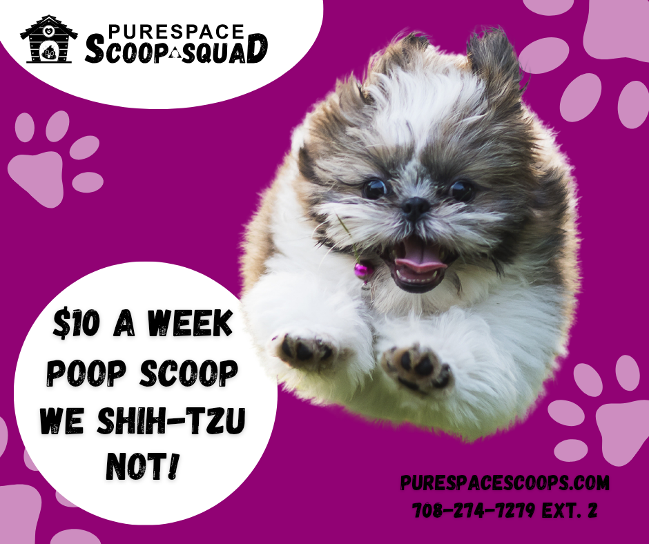 PureSpace Scoop Squad - Photo 2