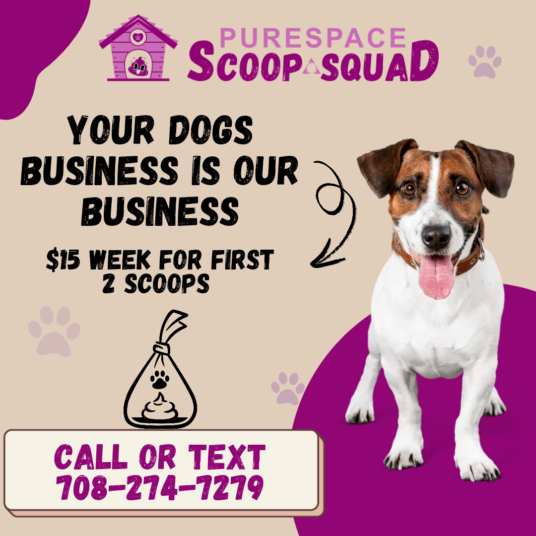 PureSpace Scoop Squad - Photo 3