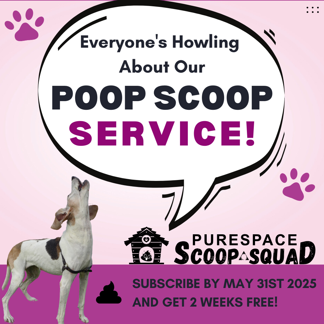 PureSpace Scoop Squad - Photo 4