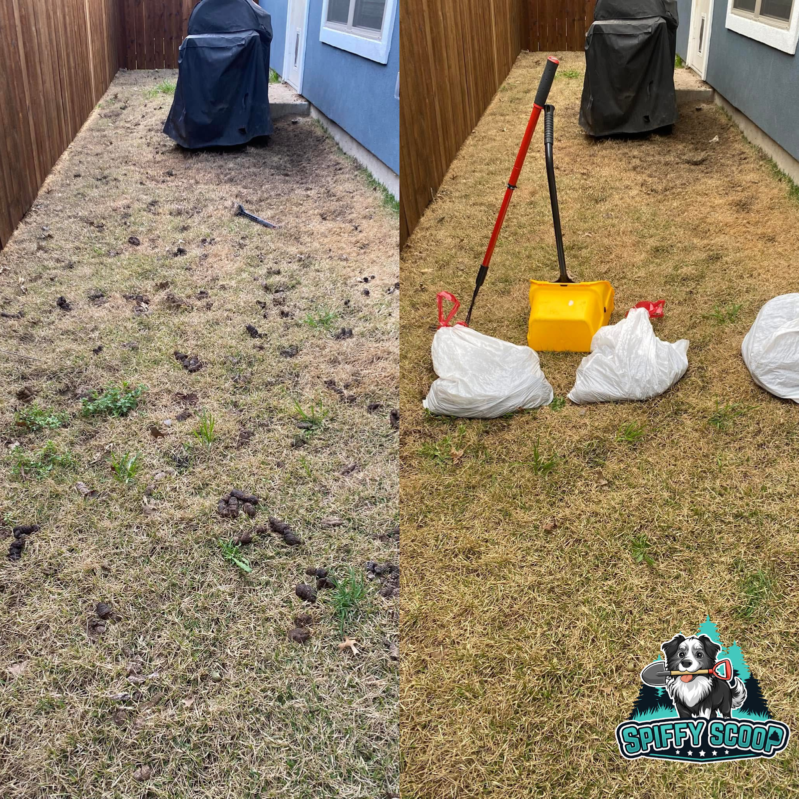 Spiffy Scoop - Photo 2