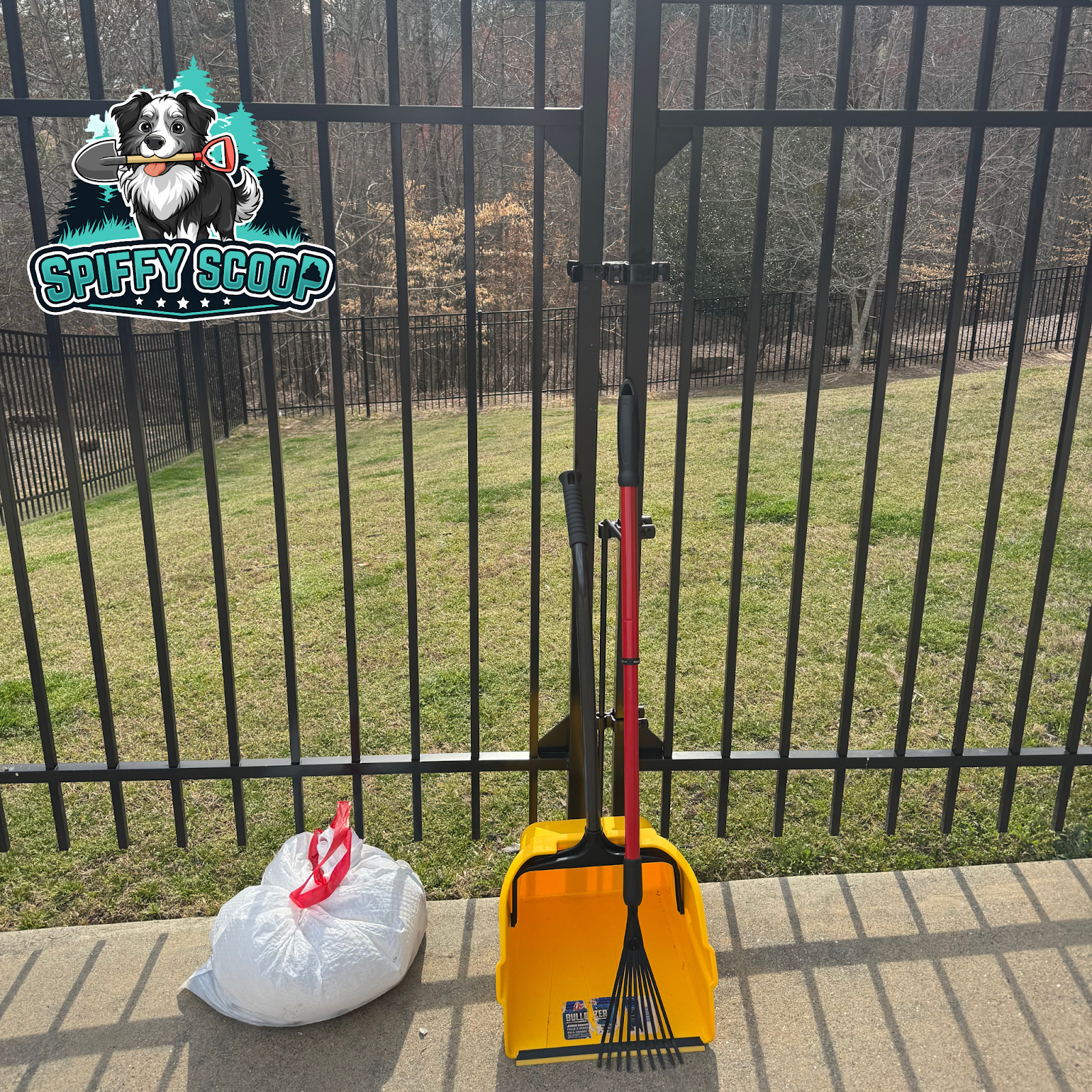 Spiffy Scoop - Photo 4