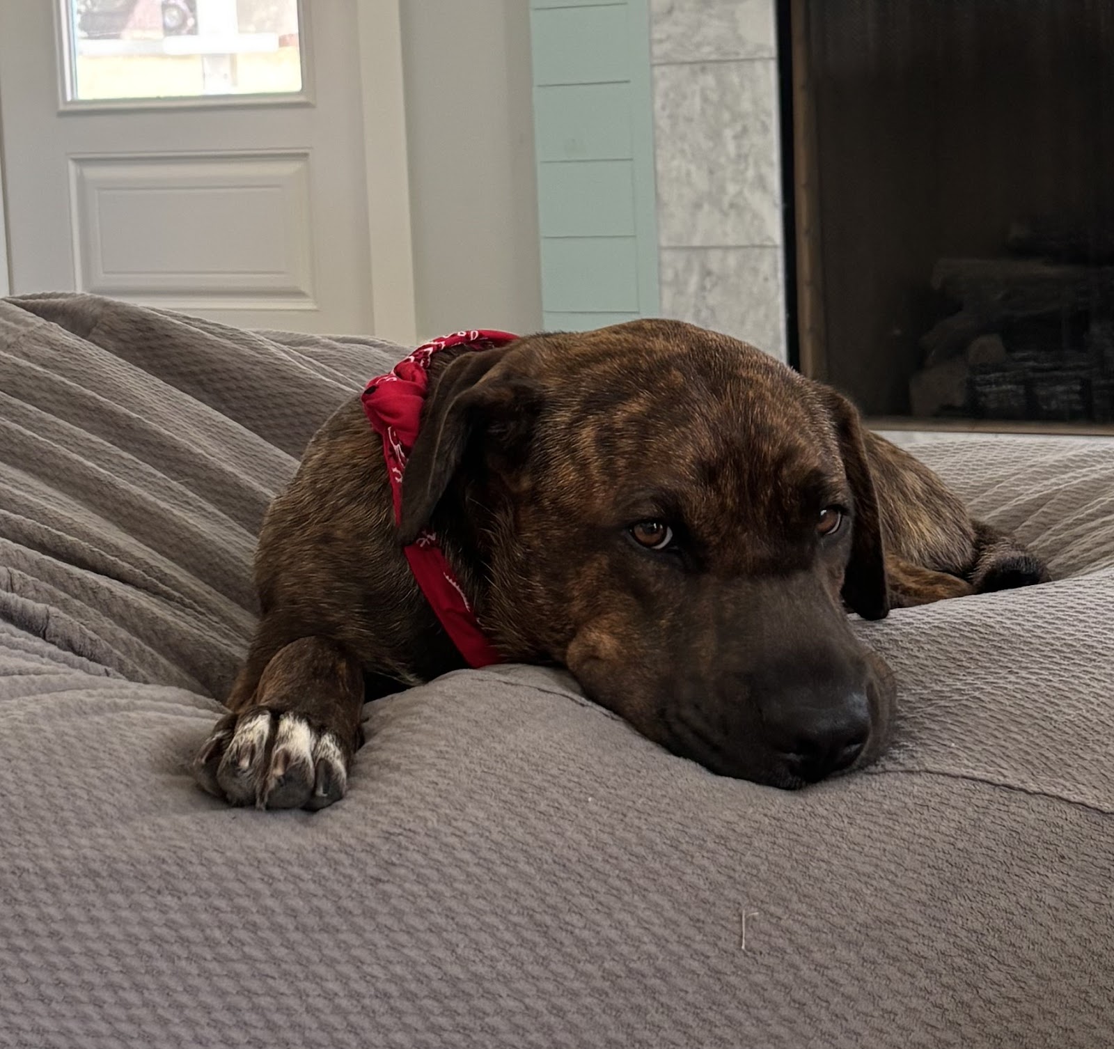 Buck's Pet Waste Removal LLC