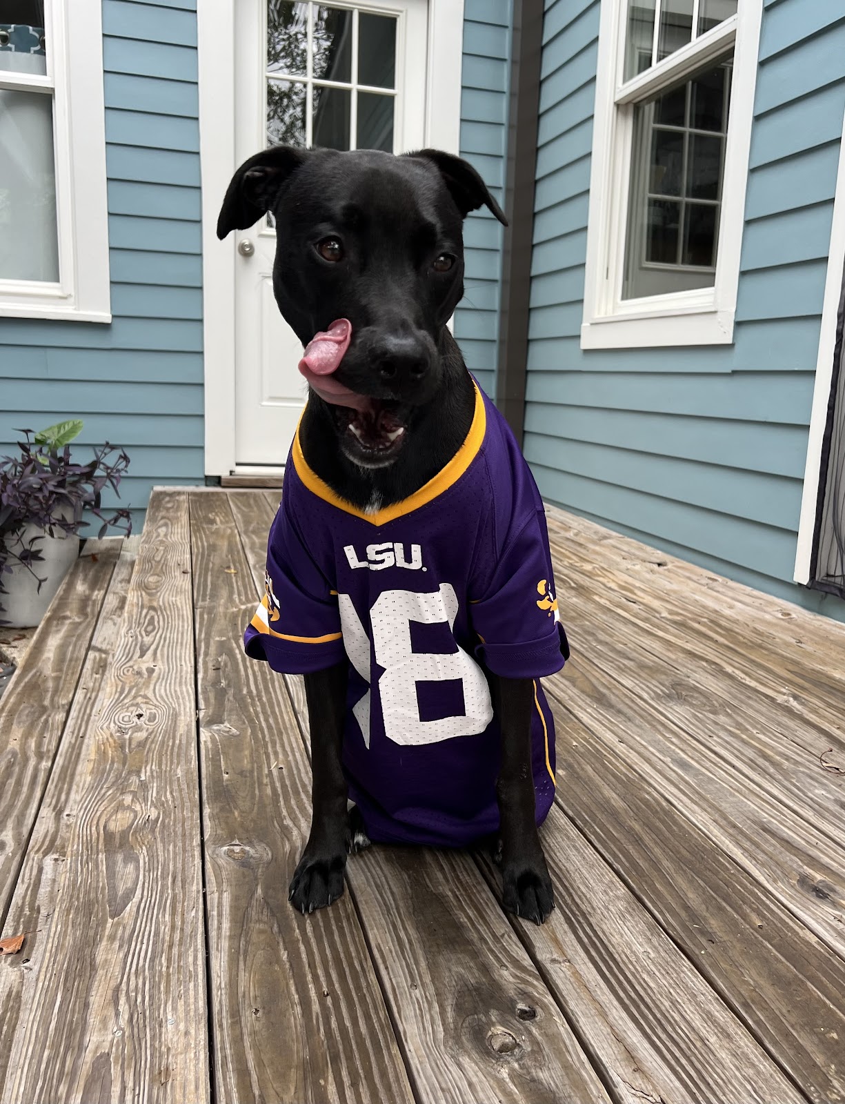 Buck's Pet Waste Removal LLC - Photo 2