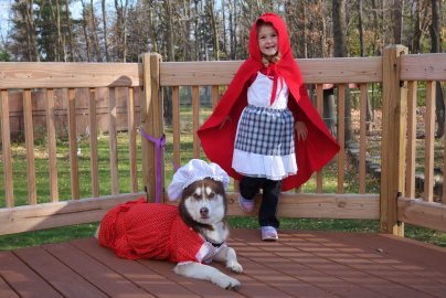 West Metro Canine Cleanup - Photo 4