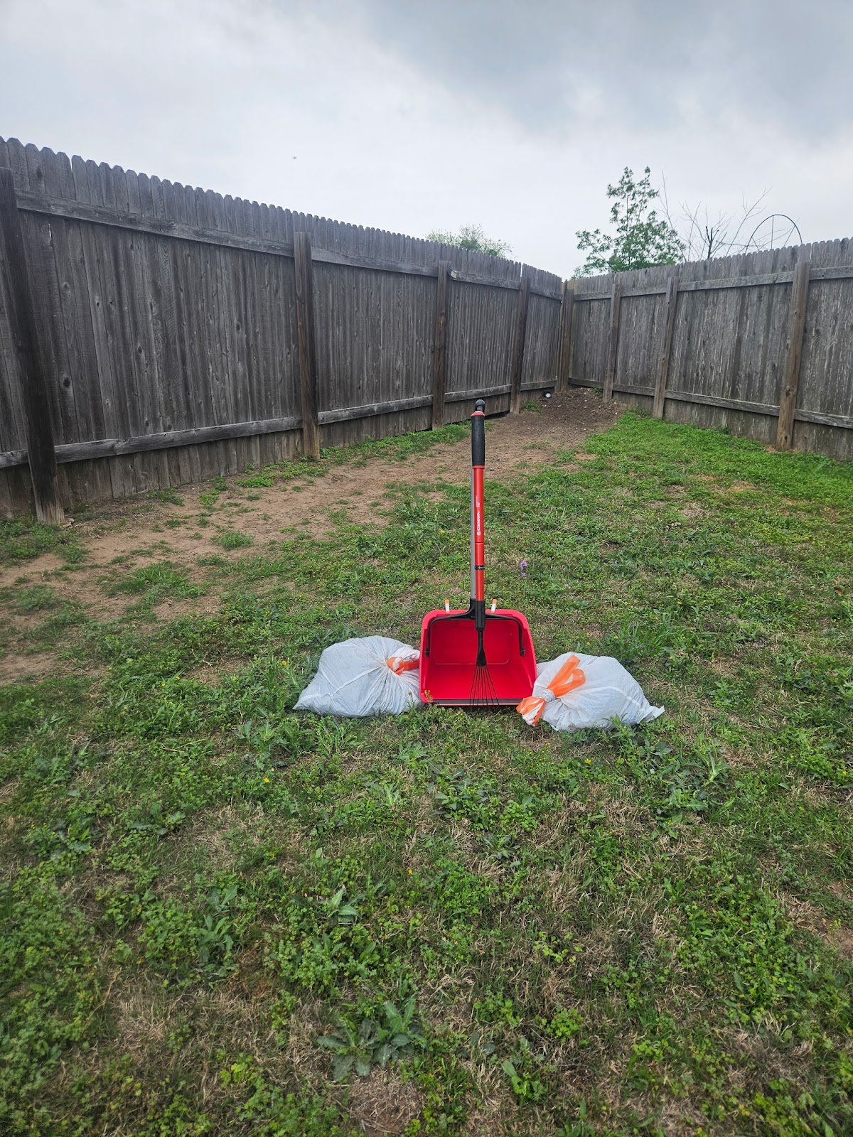 The Scoop Service - Photo 2