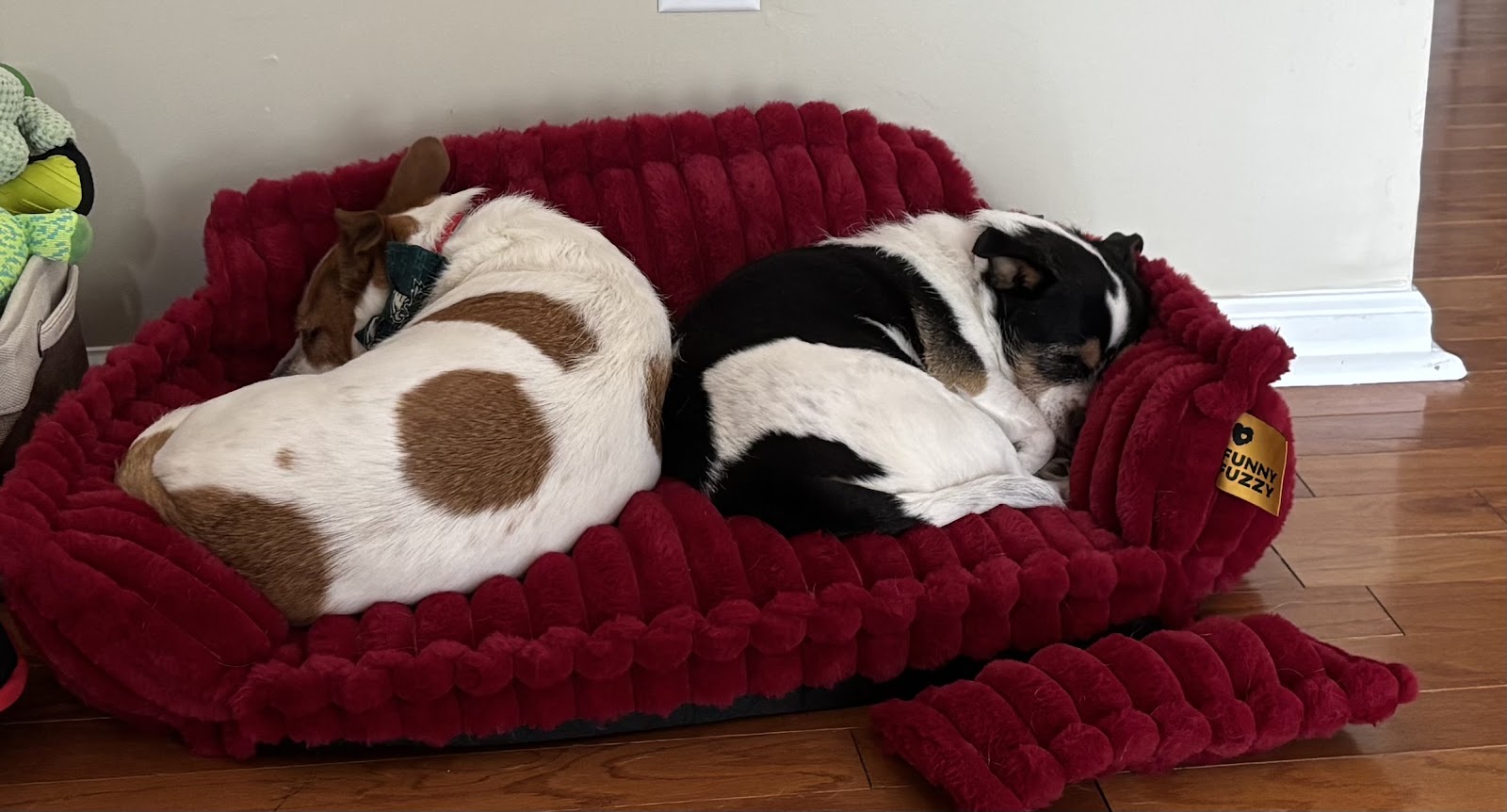 Little Landmines Poop Scoop Services