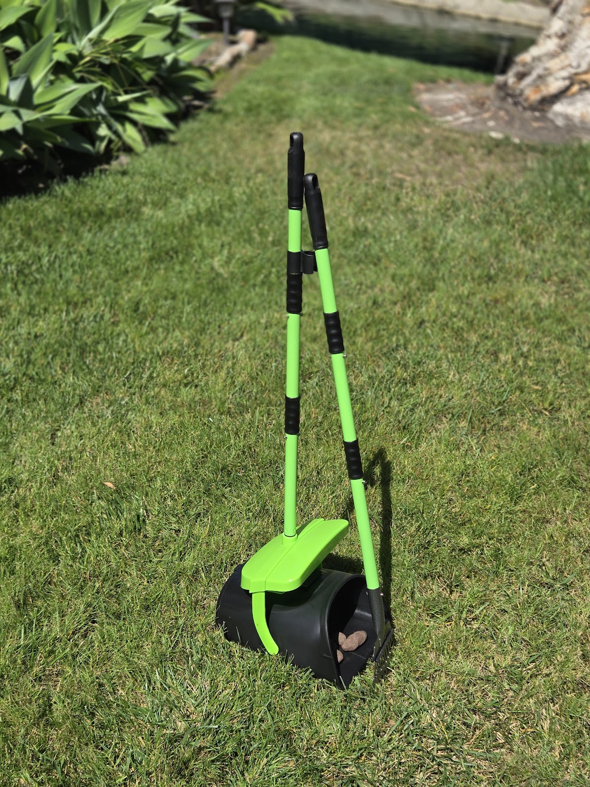 OC Poop Scoop - Photo 2