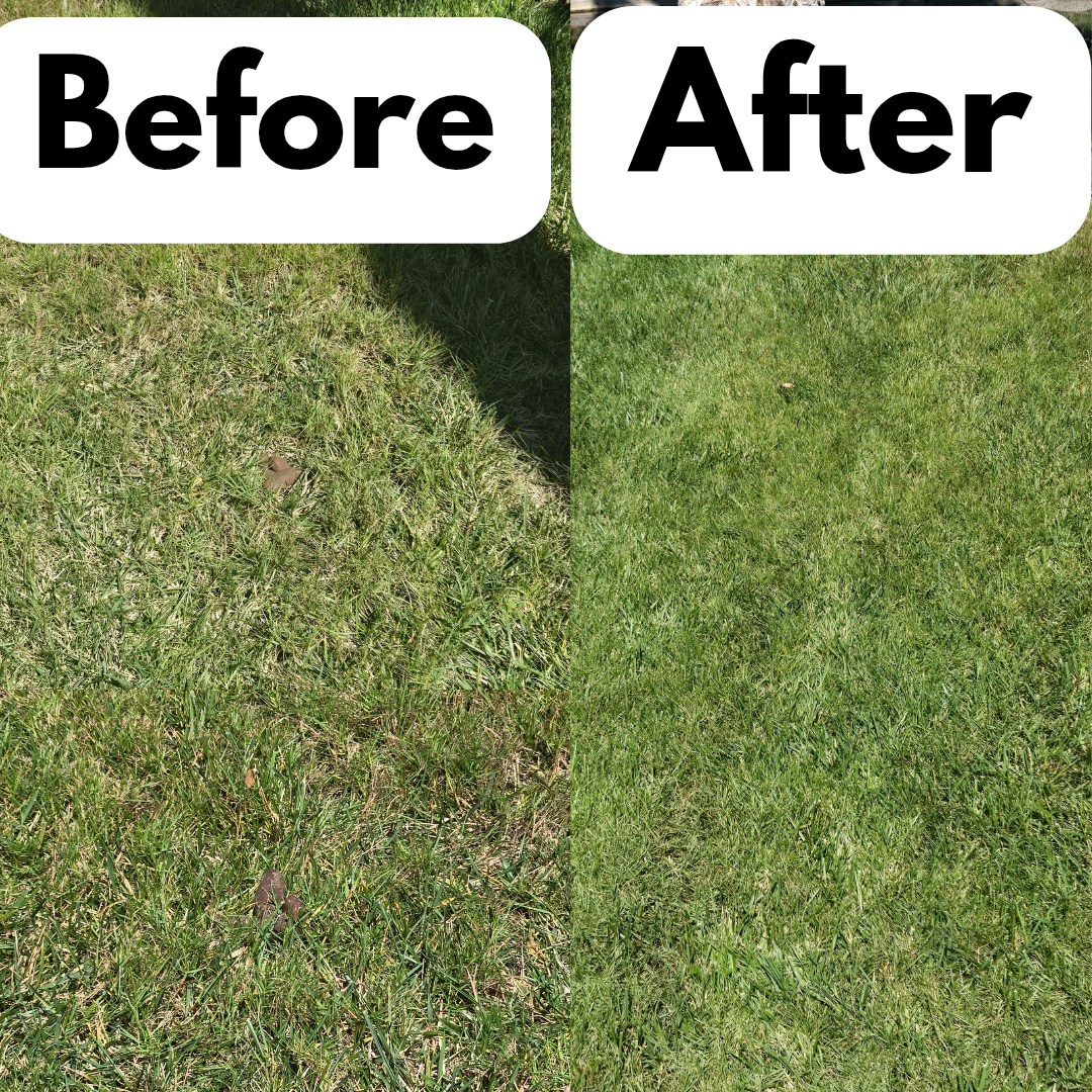 OC Poop Scoop - Photo 4