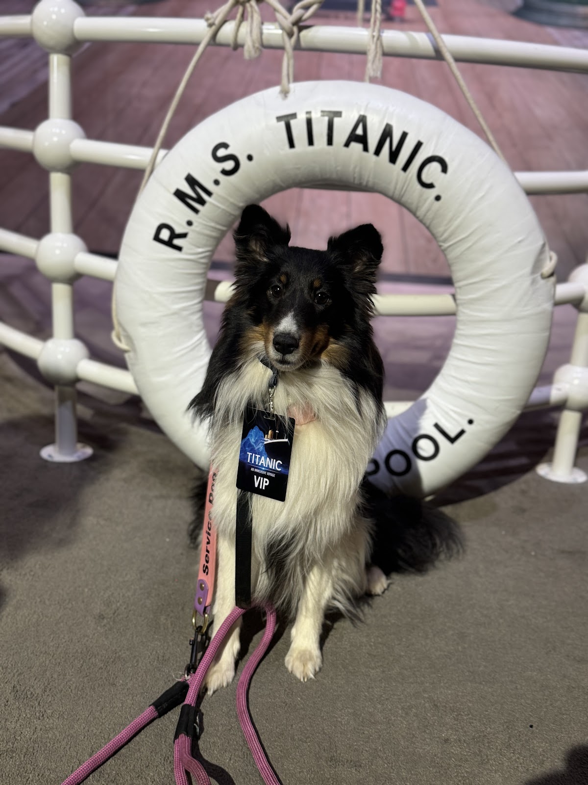 Breezy Scoops - Photo 2