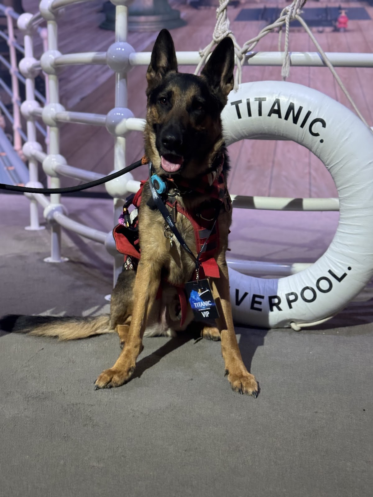 Breezy Scoops - Photo 3