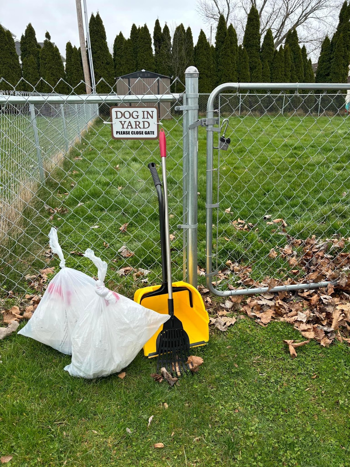 Canine Waste Removal