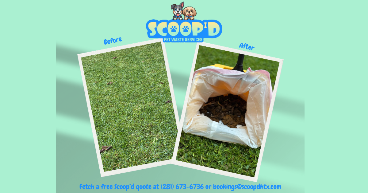 Scoop'd- Pet Waste Services - Photo 4