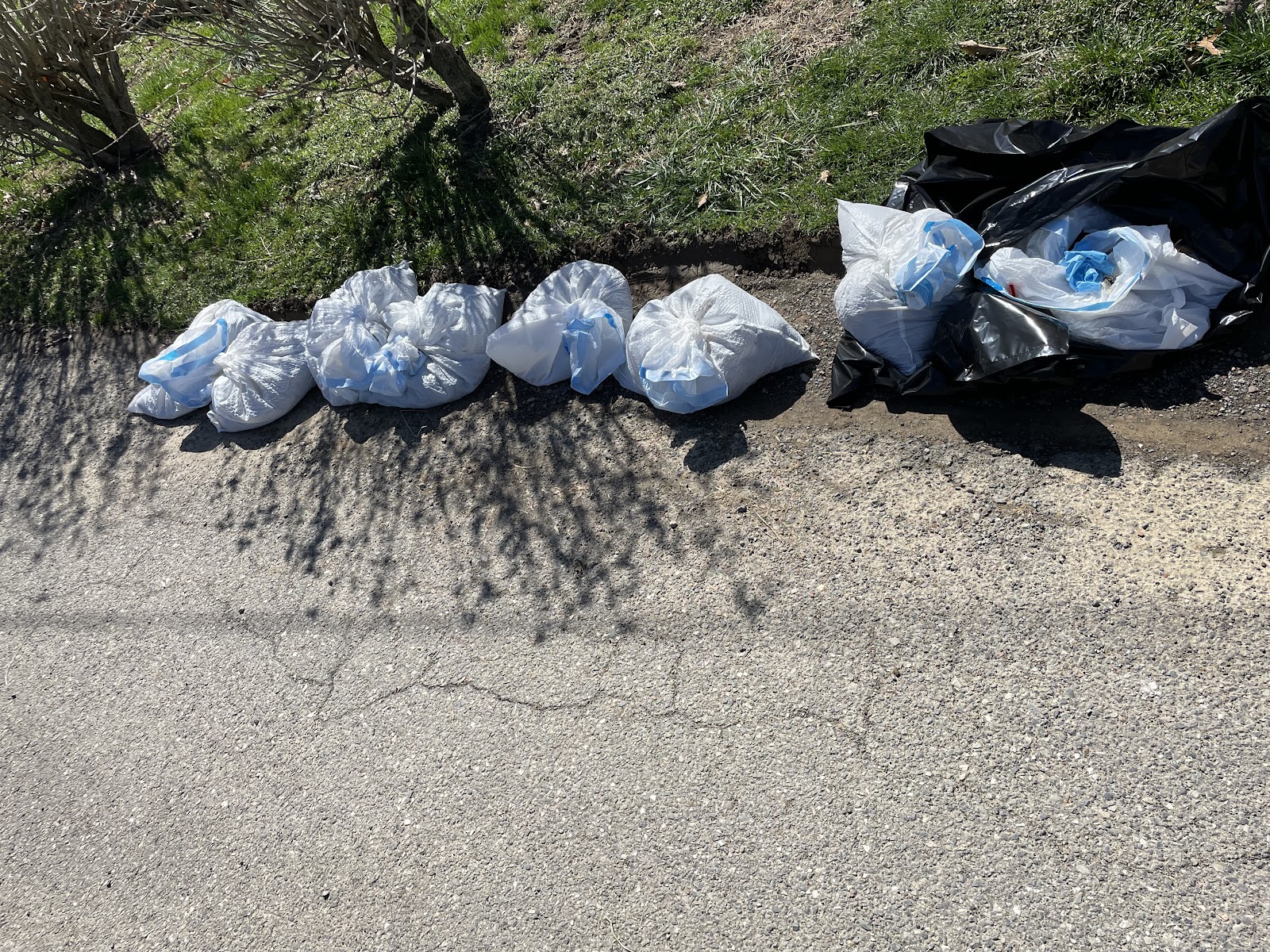 Doody Recon - Photo 2