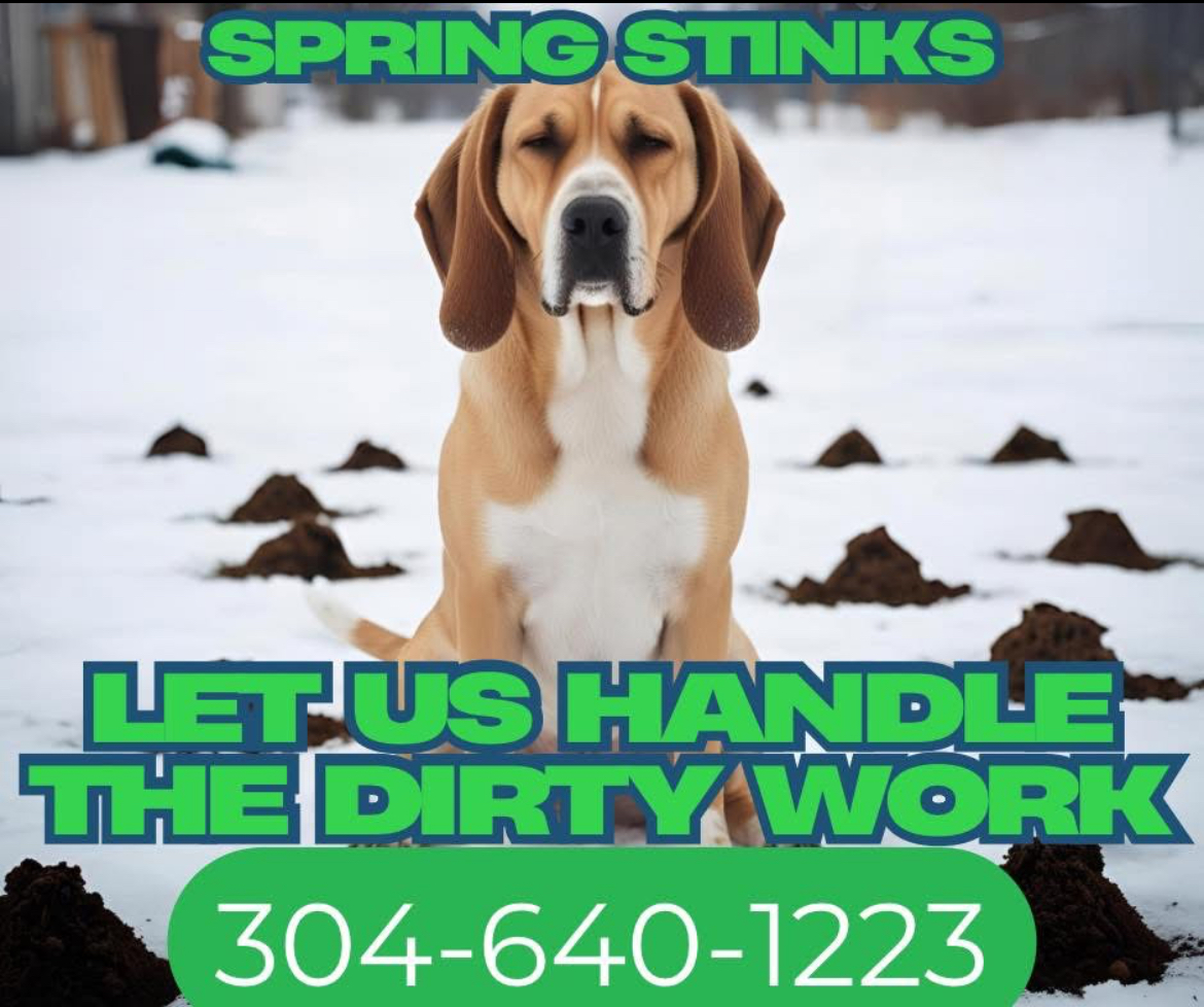 Doody Recon - Photo 4