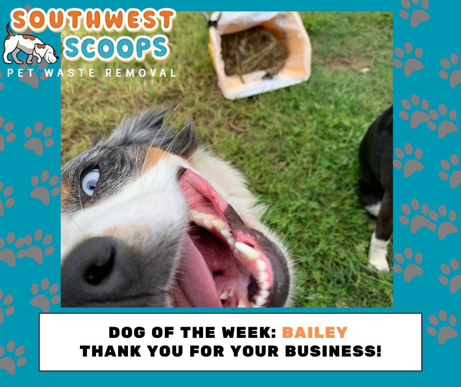 Southwest Scoops Pet Waste Removal, LLC.