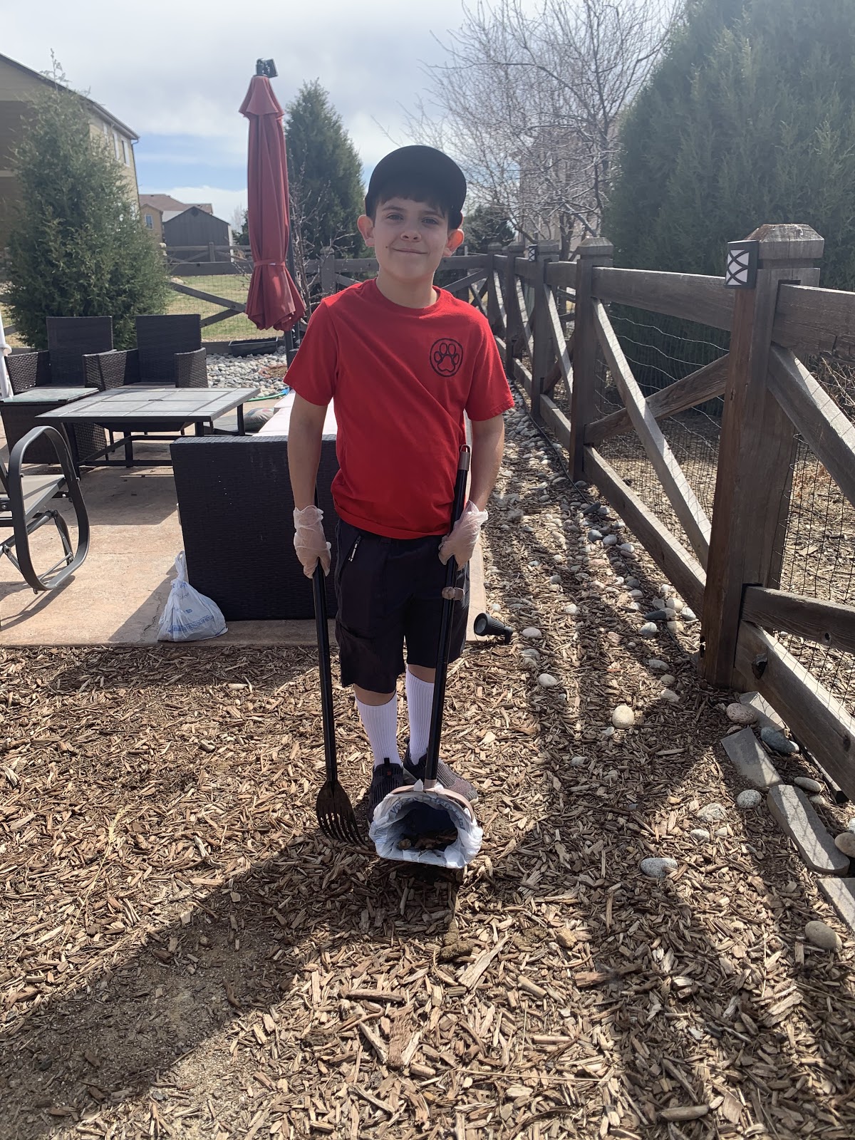 Owen's Pet Mess Removal