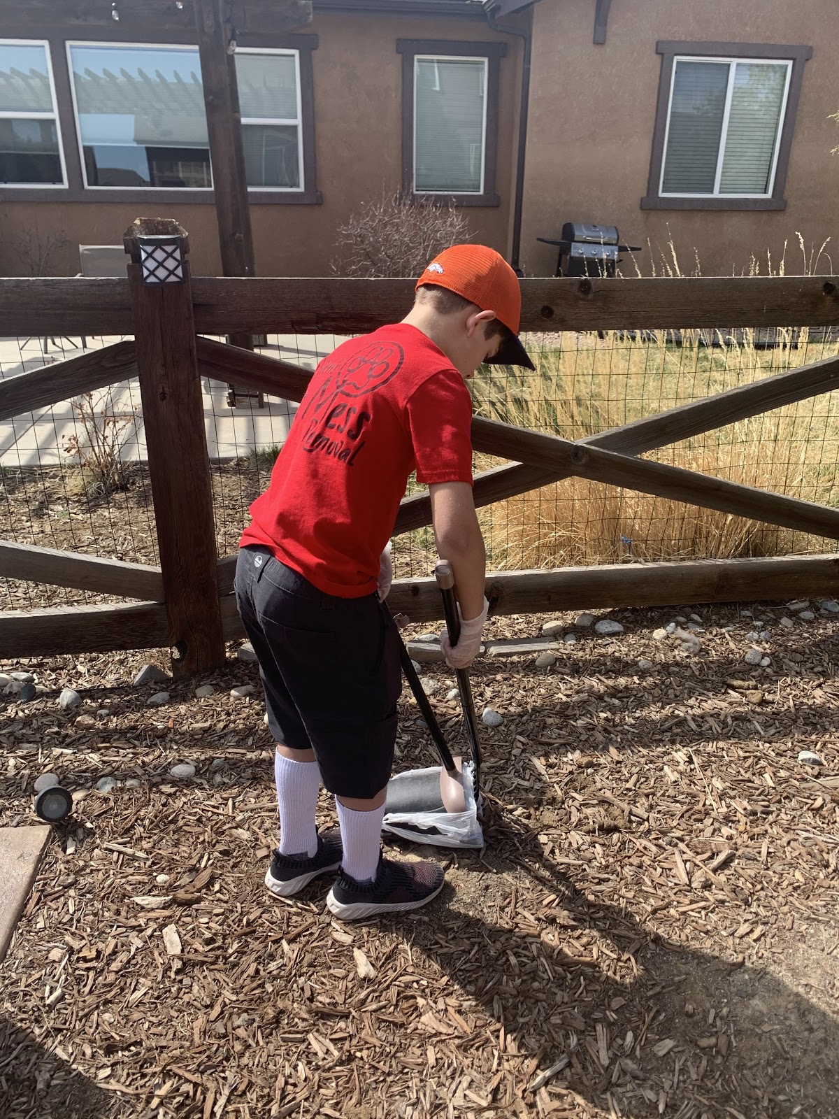 Owen's Pet Mess Removal - Photo 2