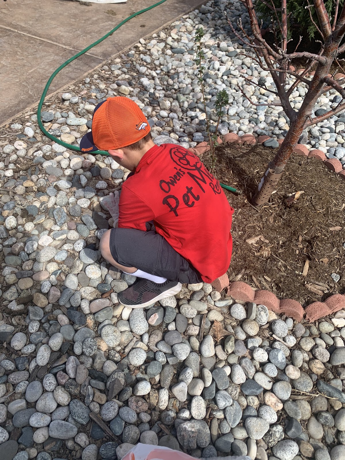 Owen's Pet Mess Removal - Photo 3