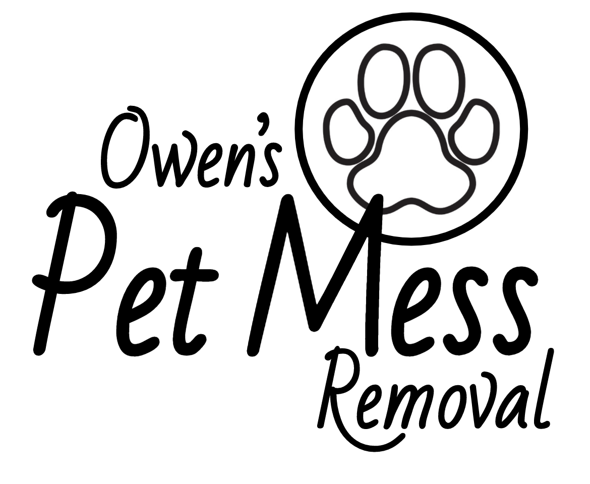 Owen's Pet Mess Removal - Photo 4