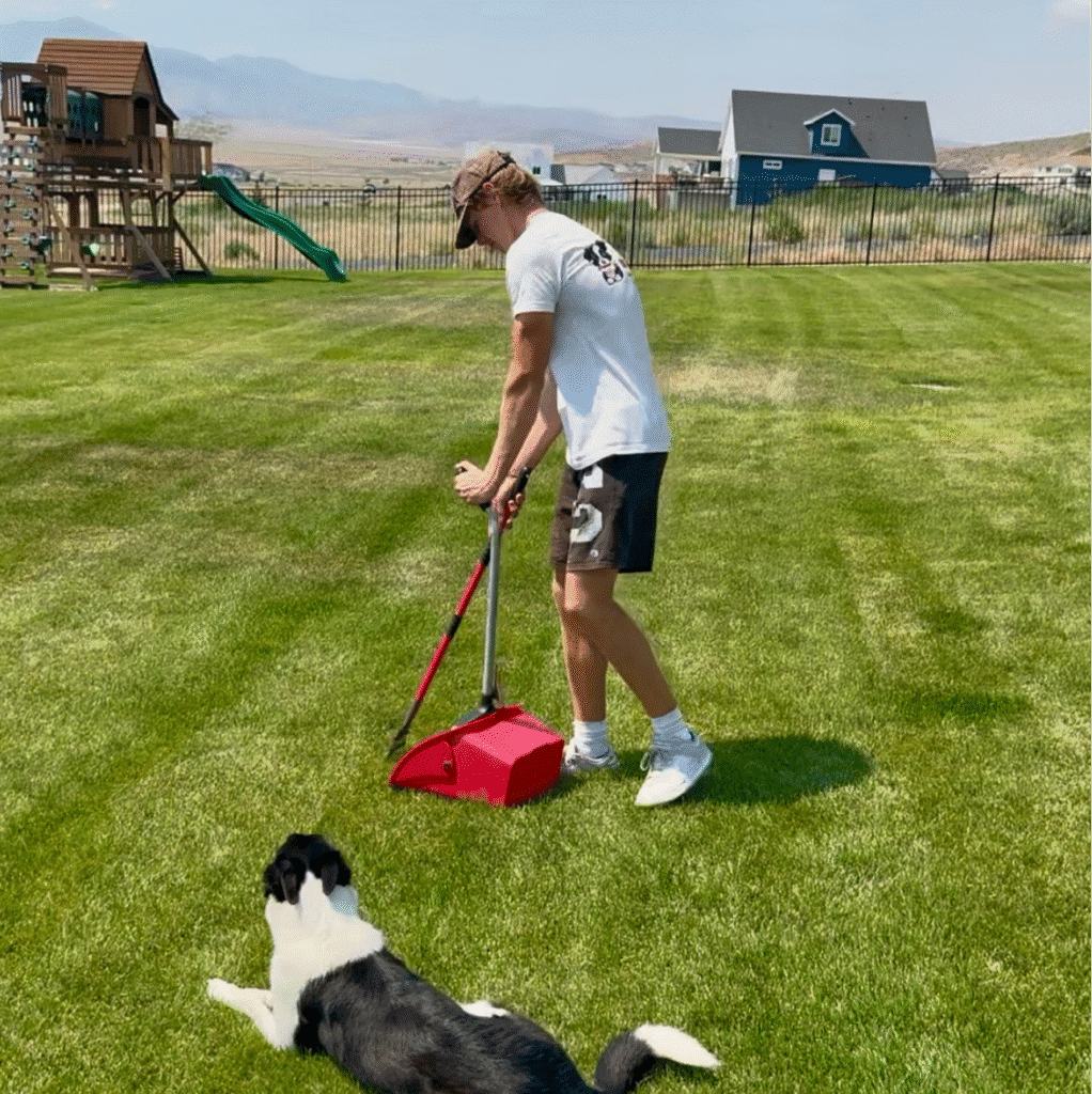 U Poop We Scoop - Photo 2