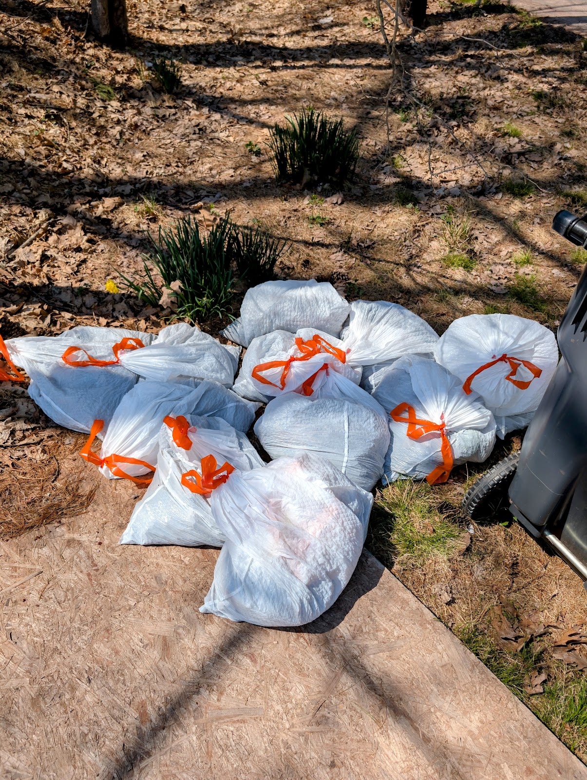 Scoop It LLC - Photo 2