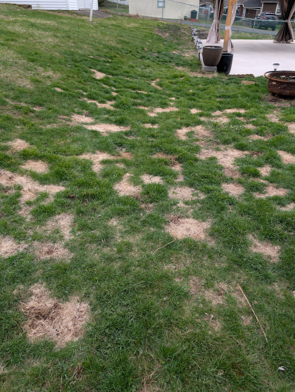 Scoop It LLC - Photo 3