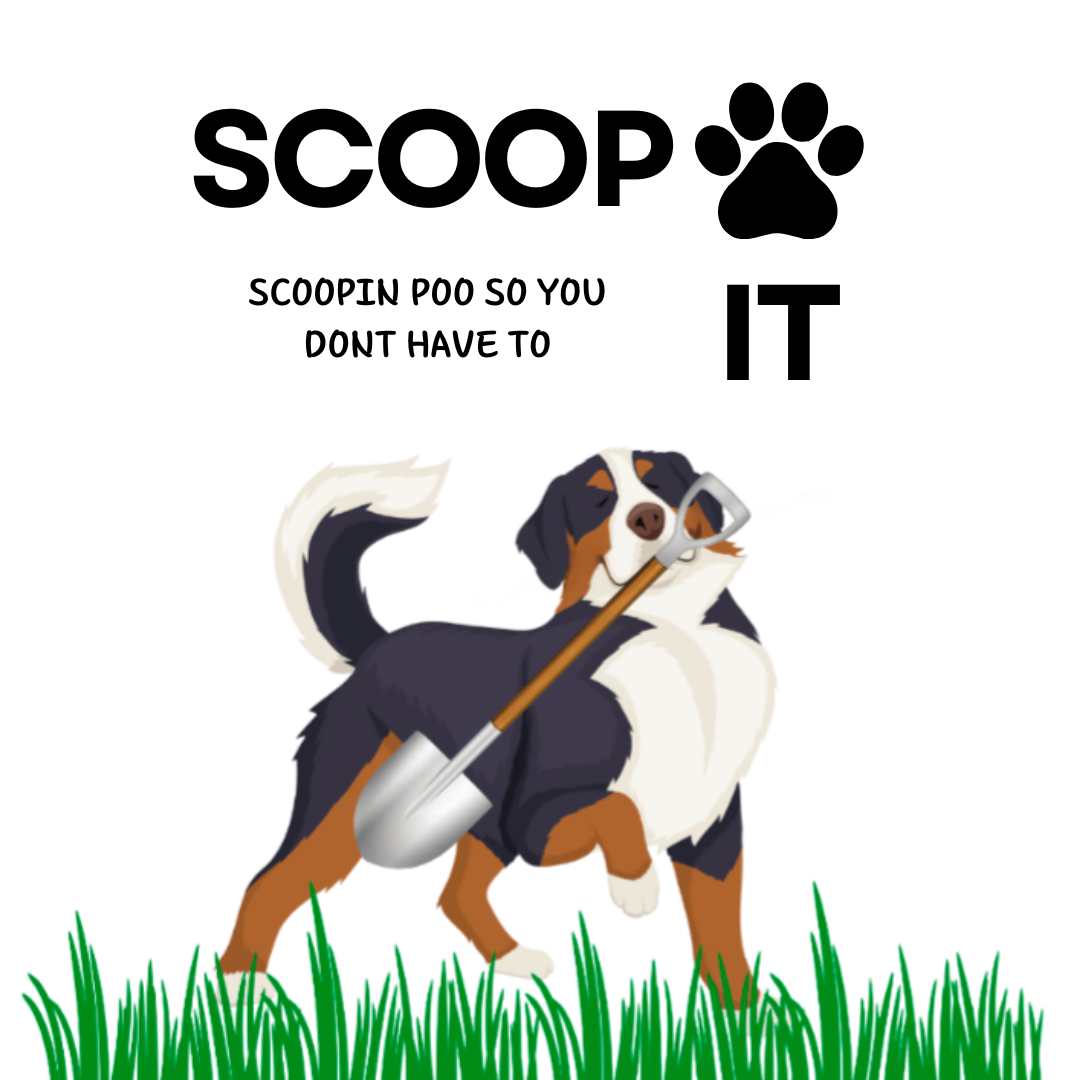 Scoop It LLC - Photo 4