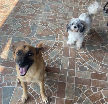 Sur State Scoopers - Photo 2