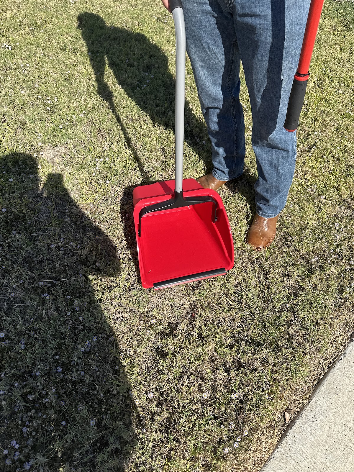 Sur State Scoopers - Photo 3