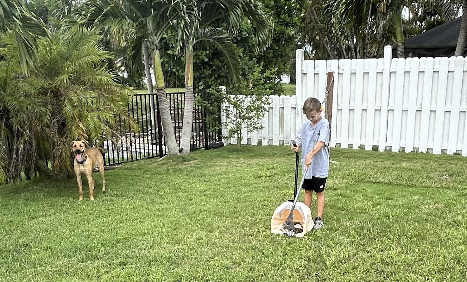 My Poop Troop - Photo 3